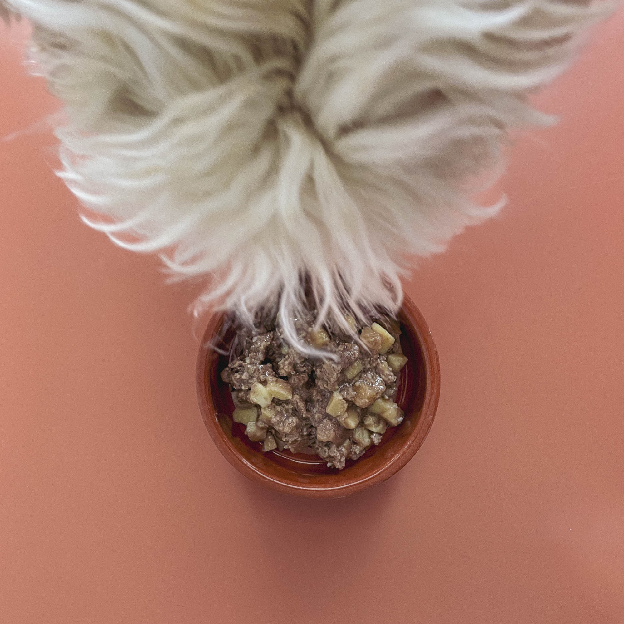 Deer with Potatoes & Turnips Wet Food for Dogs