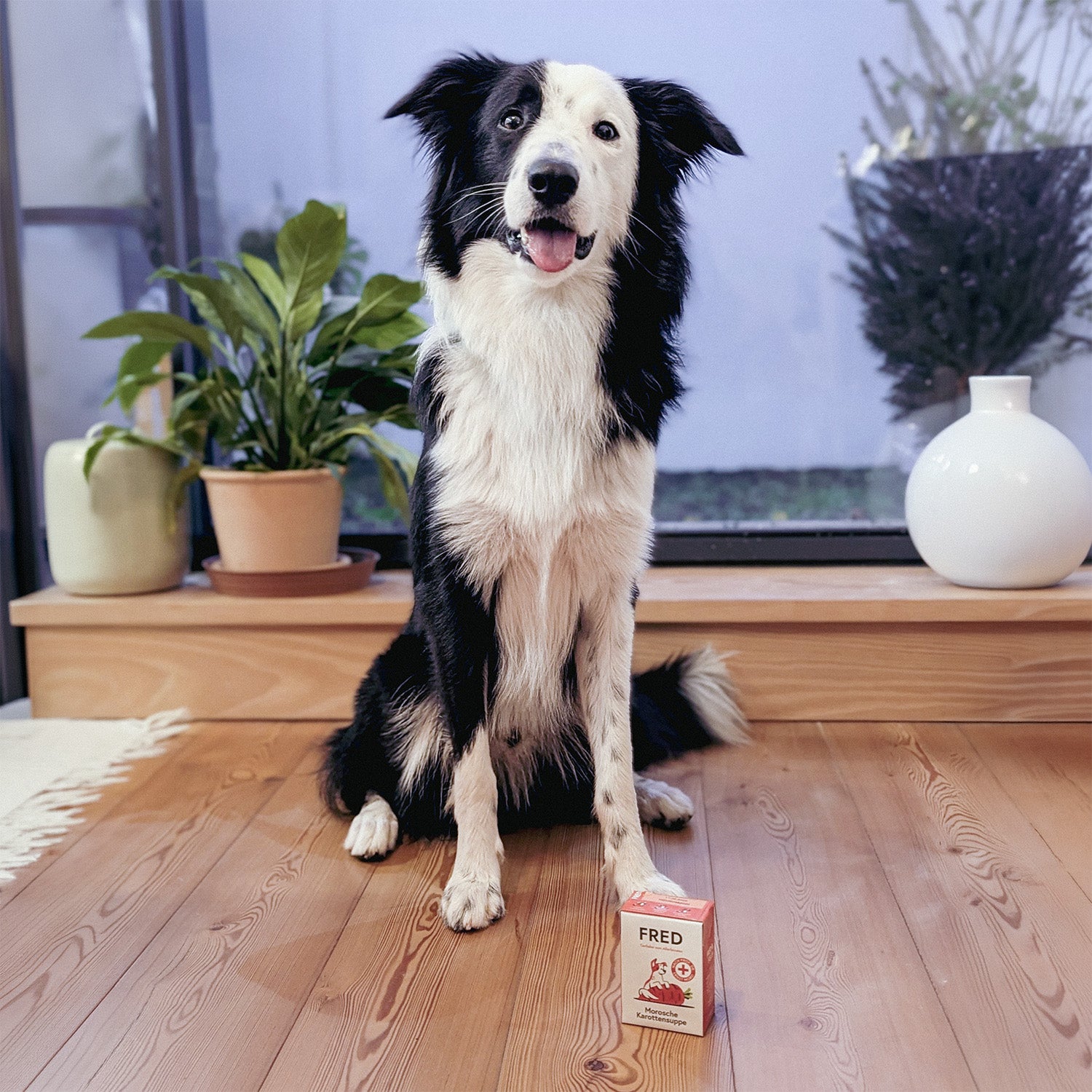 Moro's Carrot Soup for Dogs (200g)