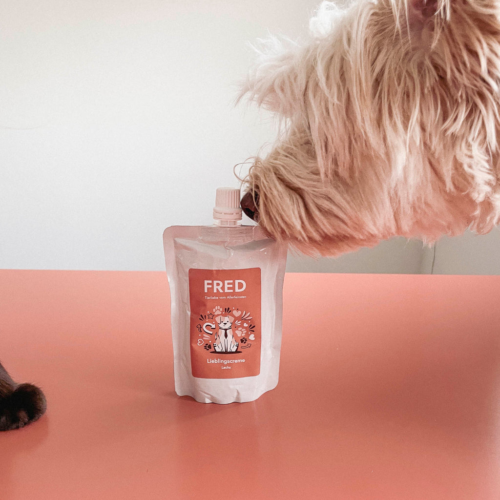 Salmon Cream Dog Snack