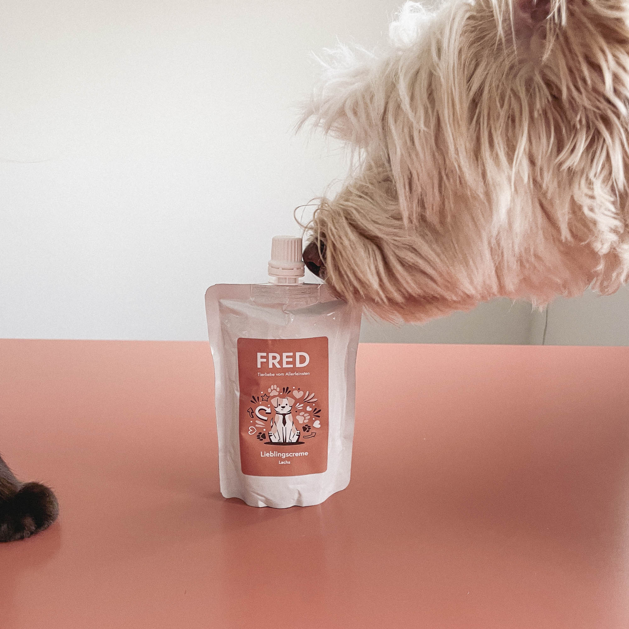 Salmon Cream Dog Snack