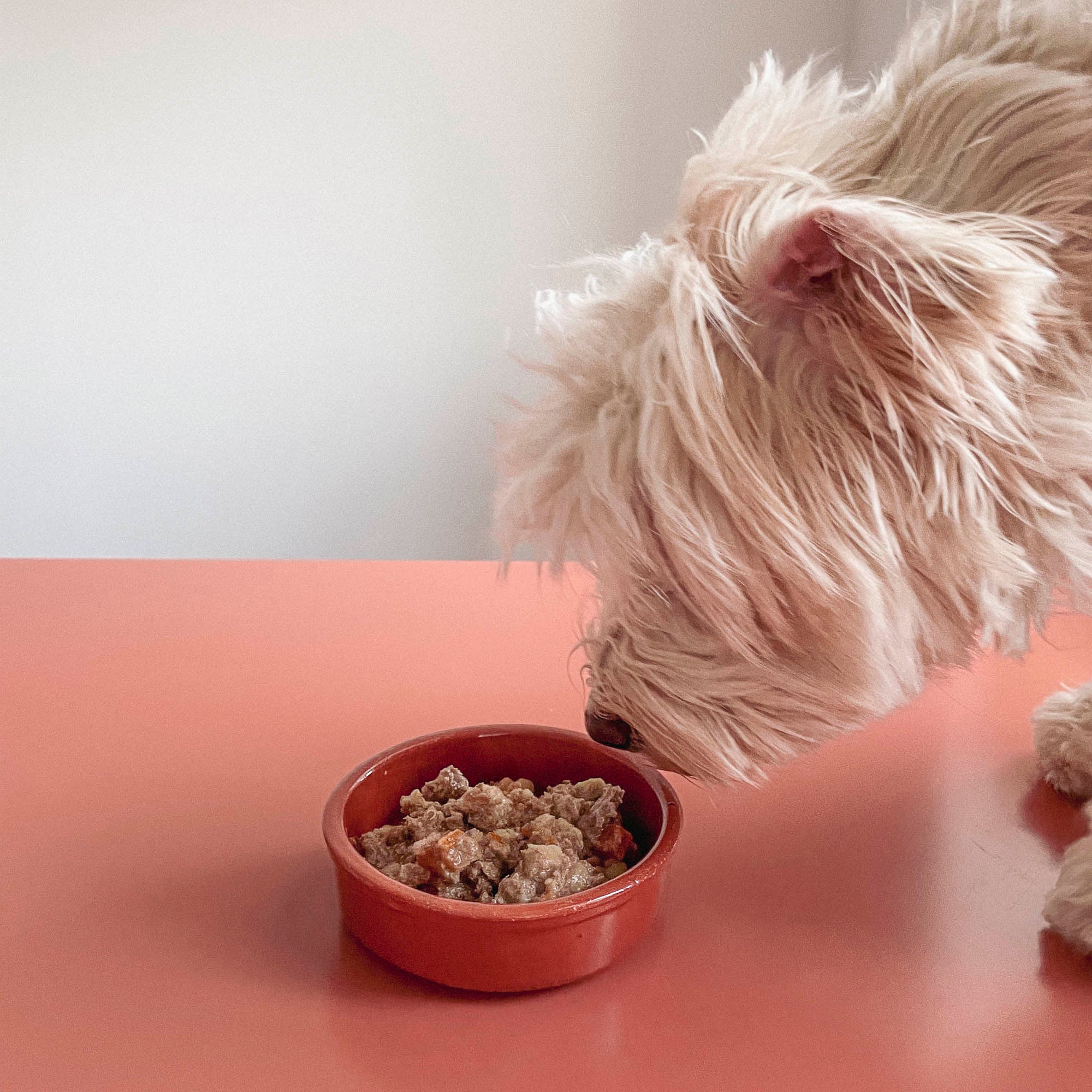 Fred Turkey with Potatoes Wet Food for Dogs (190g)