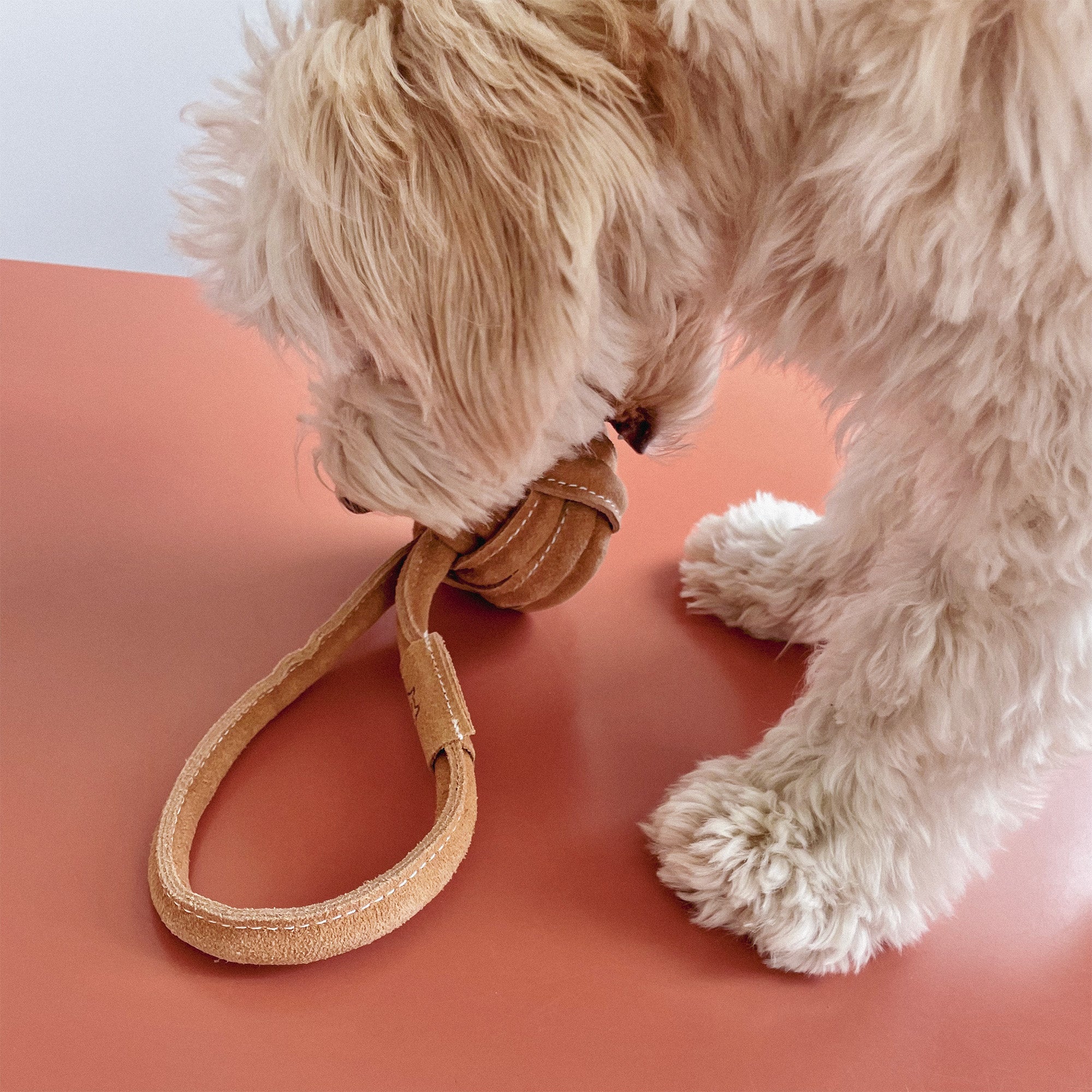 Leather Tug Toy
