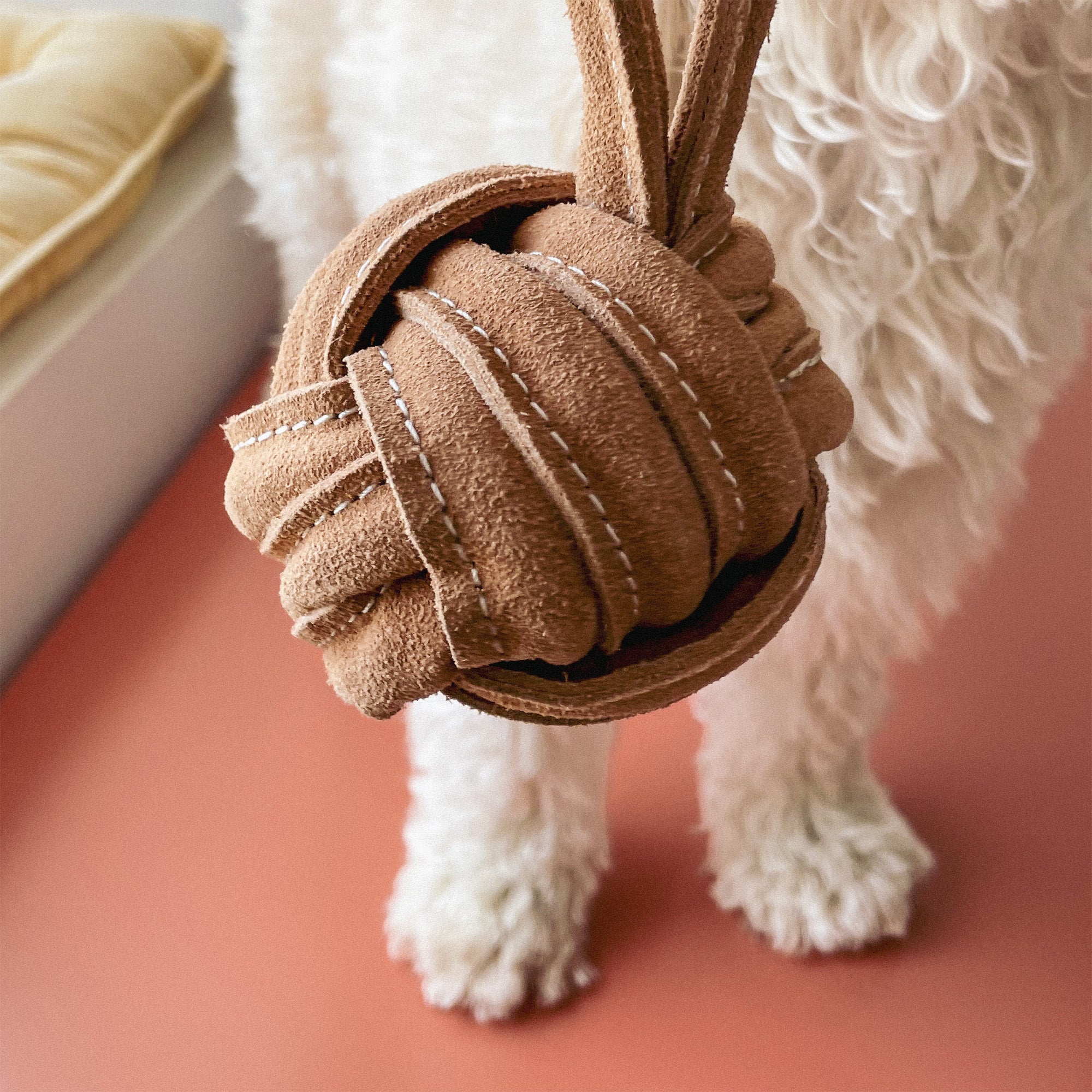 Leather Tug Toy