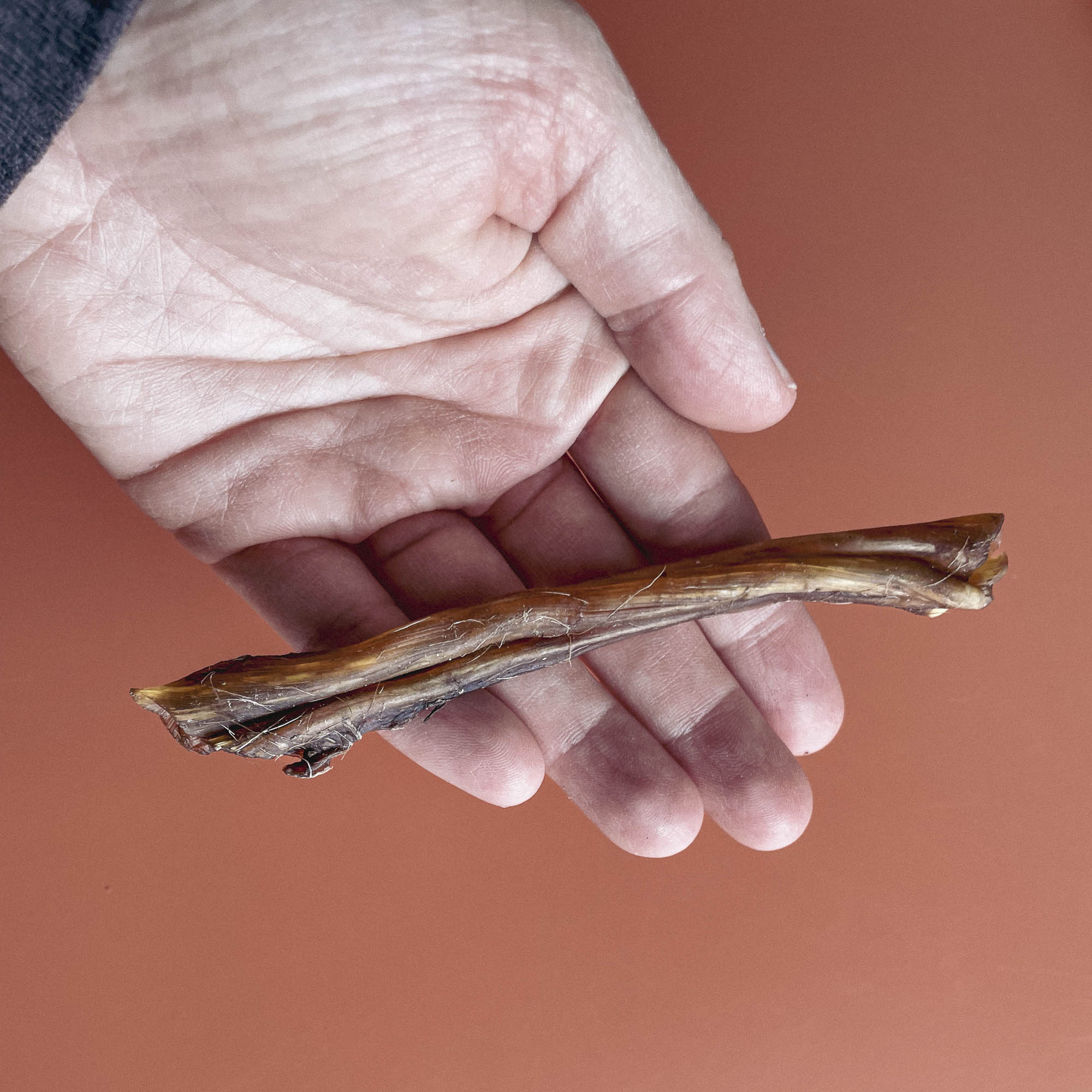 Deer Tendon Chew