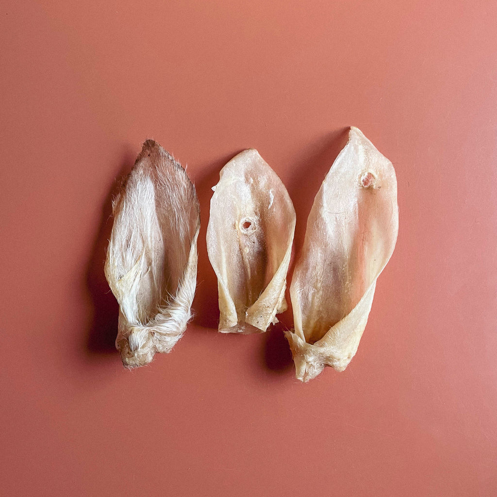 Lamb Ears Chew for Dogs