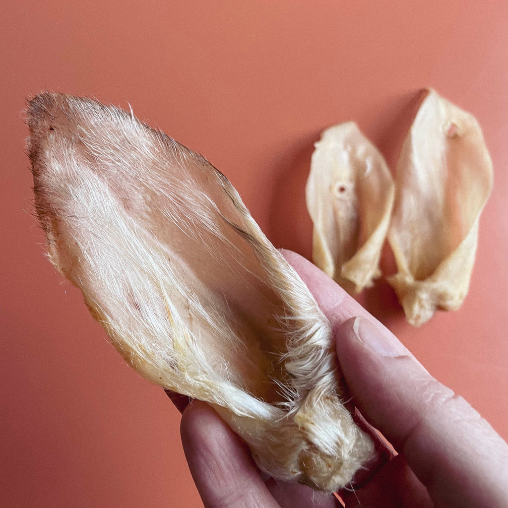 Lamb Ears Chew for Dogs