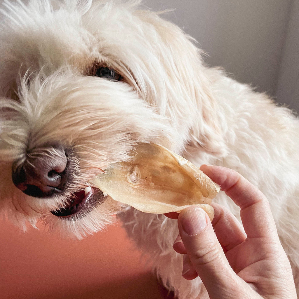 Lamb Ears Chew for Dogs